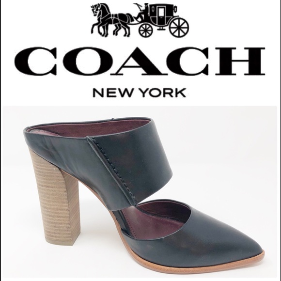 Coach Shoes - 🧜🏼‍♀️New Coach Black Vegan Mules